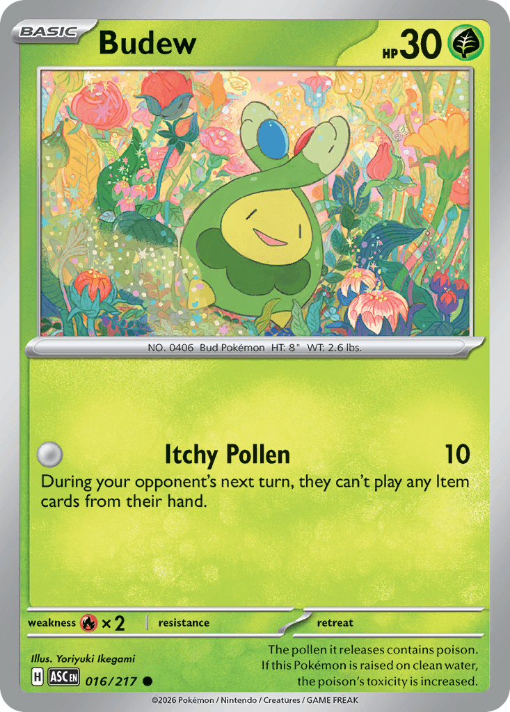 Budew (Ascended Heroes) #16 card art