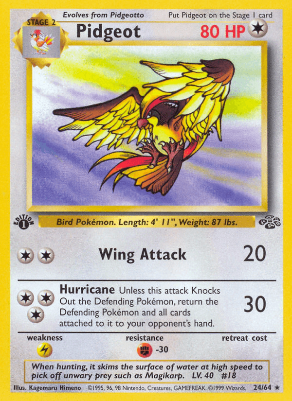 Pidgeot (Jungle) #24 card art