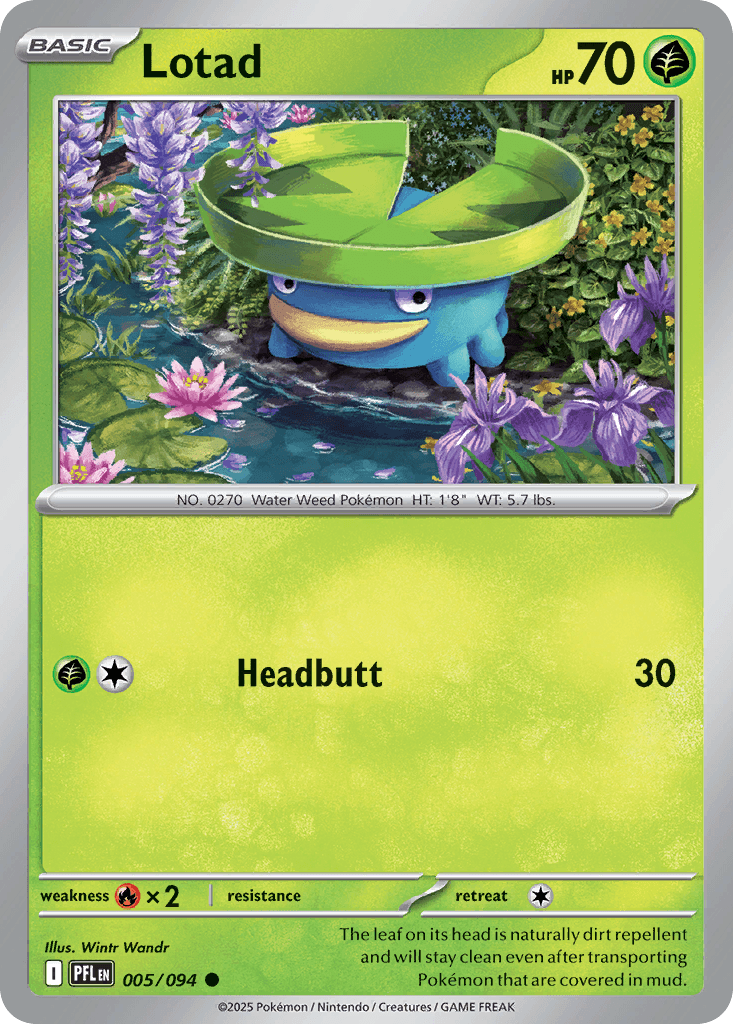 Lotad (Phantasmal Flames) #5 card art