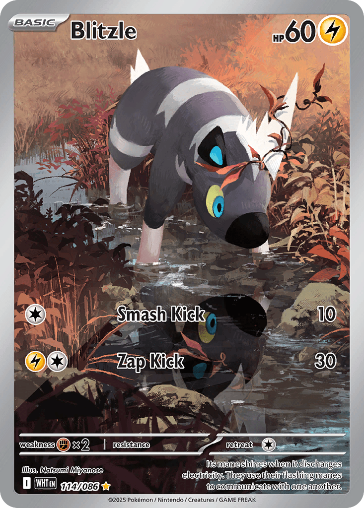 Blitzle (White Flare) #114 card art