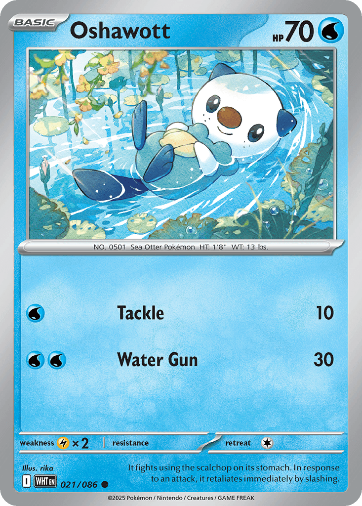 Oshawott (White Flare) #21 card art