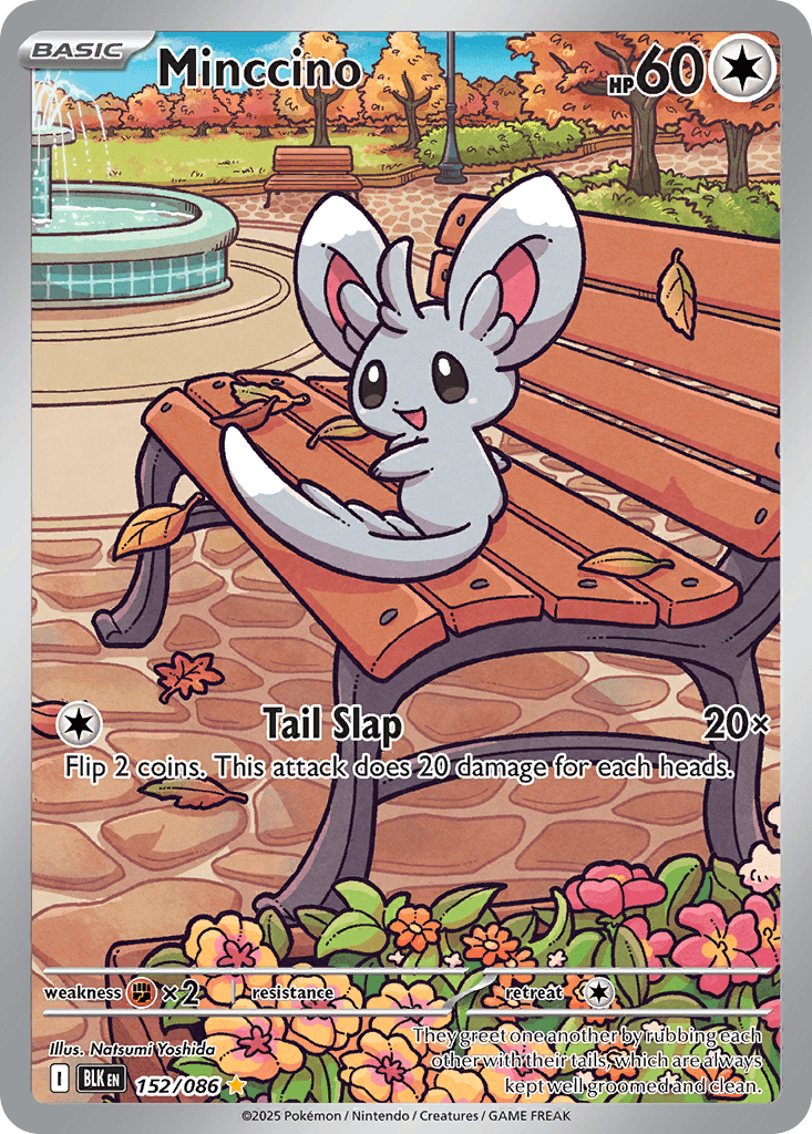 Minccino (Black Bolt) #152 card art