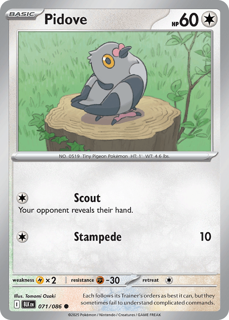 Pidove (Black Bolt) #71 card art